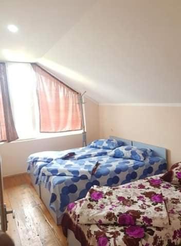 אורקי Old House Hotel מראה חיצוני תמונה