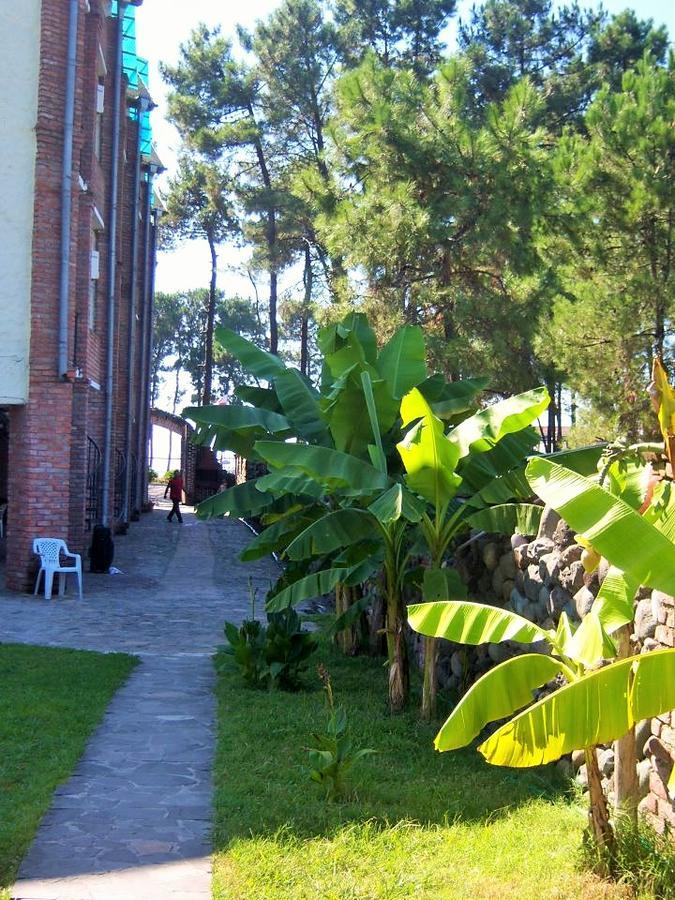 אורקי Old House Hotel מראה חיצוני תמונה